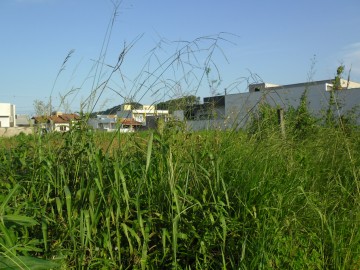 Loteamento Bananal 1